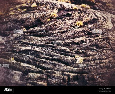 pahoehoe lava texture in Hawaii Stock Photo - Alamy