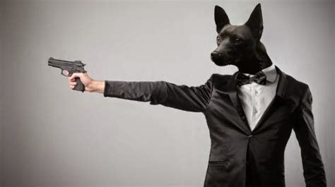 Top 12 Funny Cats and Dogs with Guns | Funny Collection World