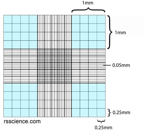 How to Use a Hemocytometer to Count Cells - Rs' Science