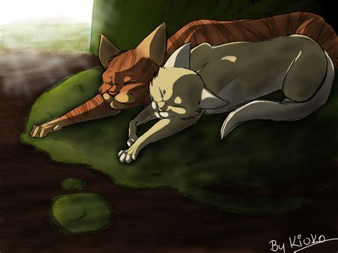 Fireheart and Sandstorm | Warrior cat memes, Warrior cats, Warrior cat