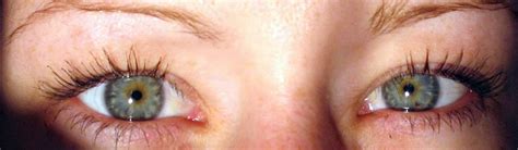 File:Blue-green eyes.jpg - Wikipedia