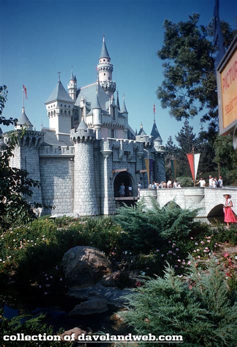 Daveland Disneyland Castle Photos