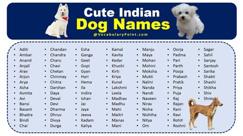 550+ Cute Indian Dog Names (Male and Female) - Vocabulary Point