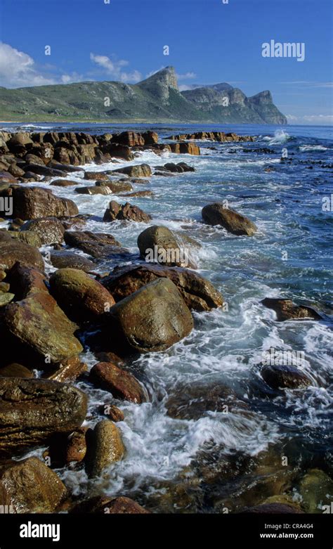 Cape peninsula national park hi-res stock photography and images - Alamy