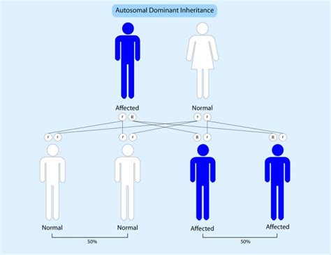 Are Dimples Genetic Defects? » ScienceABC