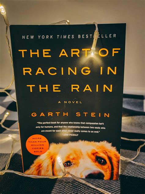 The Art of Racing in the Rain by Garth Stein - bdaing