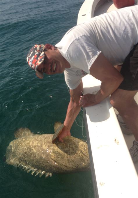 Goliath Grouper Fishing - Tampa Fishing