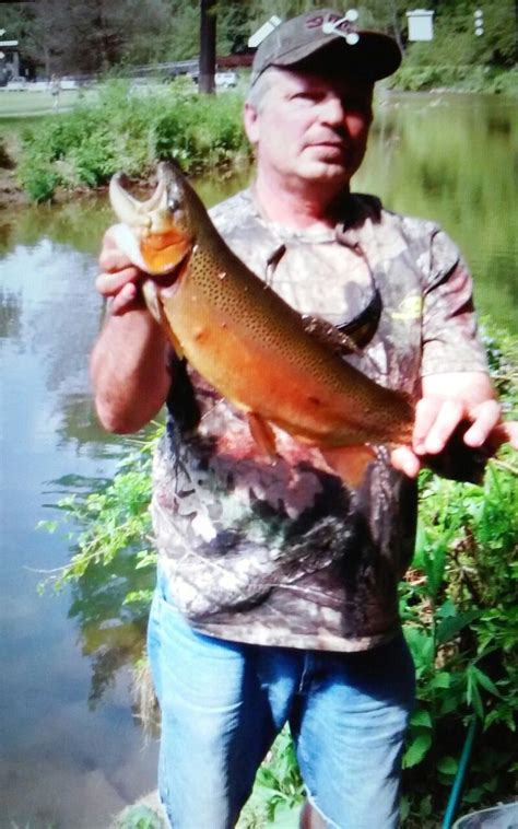 24 inch rainbow caught and released by Ray Nechetsky | Rainbow trout ...