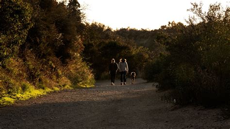 Man Dies Hiking Through Will Rogers State Park – NBC Los Angeles