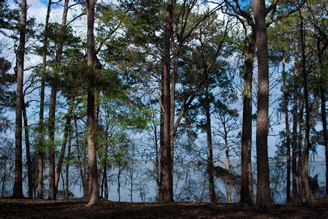 Three Rivers State Park | Florida Hikes!