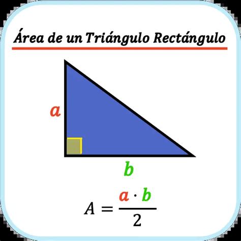 Área de un triángulo rectángulo (ejemplos y calculadora)