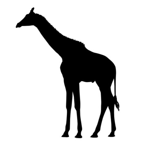 Full-size GIRAFFE SILHOUETTES (Safari Animal Wall Decor) Giraffe Silhouette Decals...