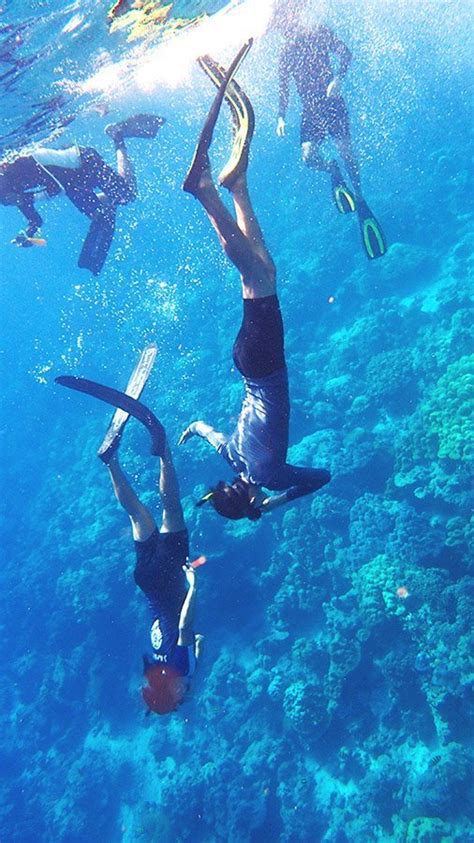 Snorkeling Rarotonga: A Complete Guide • Island Awe