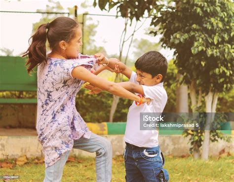 Two Little Siblings Fighting With Each Other At Park Kids Hitting And ...