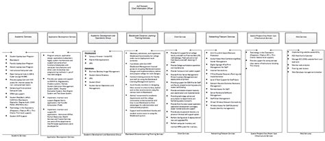 IT Functional Organization Chart