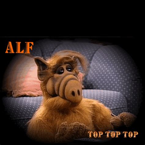 161 best images about ALF on Pinterest | The friday, Aliens and Alf tv series