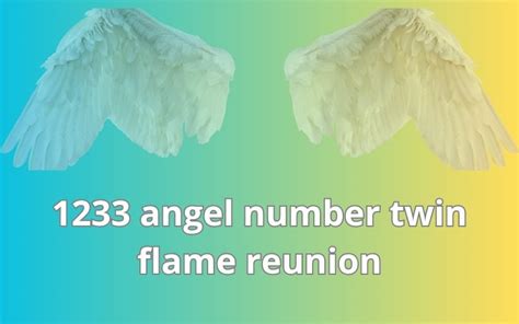 1233 Angel Number Twin Flame Reunion - The Argus Image