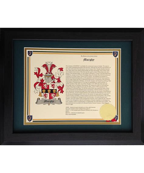 Coat-of-Arms Last Name History Prints (Framed)