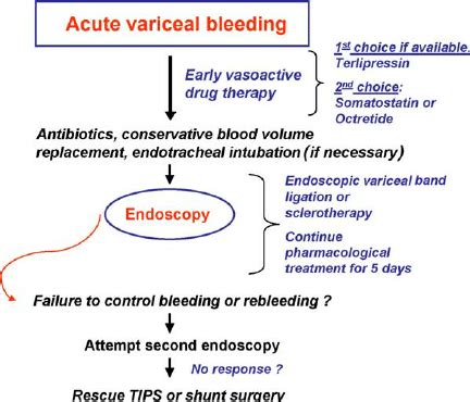 Treatment strategy for patients with acute variceal bleeding. Shunt ...