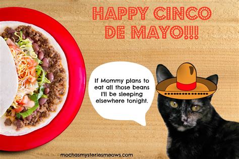 Melissa's Mochas, Mysteries and Meows: Cinco De Mayo Funny