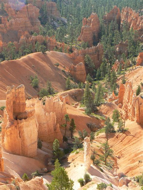 Unique erosion at Bryce Canyon National Park | Pics4Learning