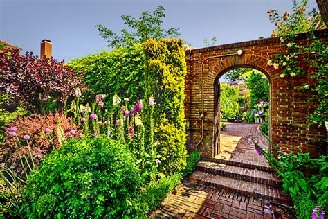 Rick Williams Photography: Filoli Gardens