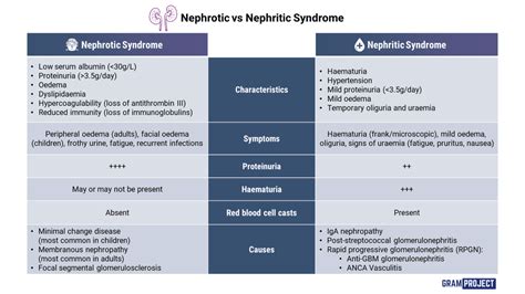 Nephrotic Vs Nephritic Syndrome Medizzy | The Best Porn Website