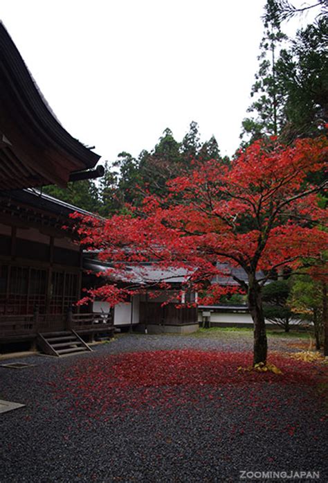 Mount Koya - One of Japan's Most Sacred Places