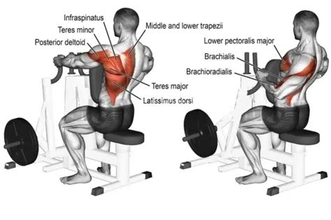 How To Do Seated Machine Row