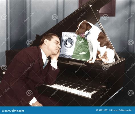 Man Asleep at Piano with Dog Stock Image - Image of adults, asleep ...