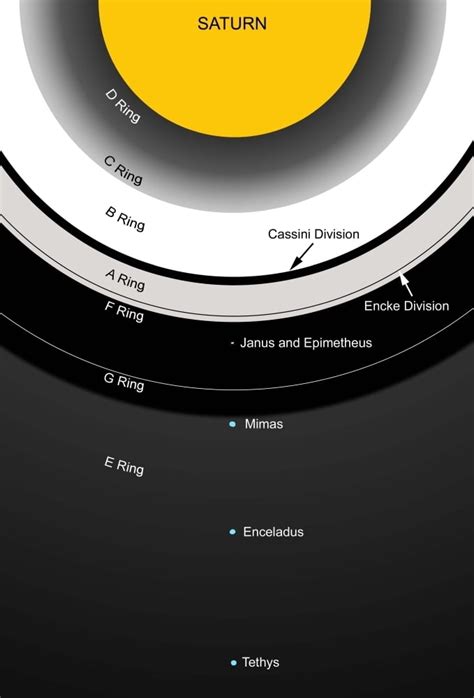 A diagram showing the major features of Saturn's rings Poster Print (11 ...