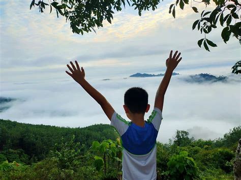 Bukit Seladang - Jerantut | Taman Negara Travel