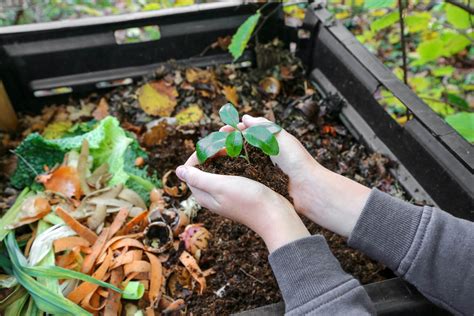 The Benefits Of Composting For The Environment - Photos