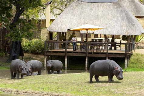 Arathusa Safari Lodge | Sabi Sand Game Reserve | Kruger National Park - Safari Lodge Accommodation