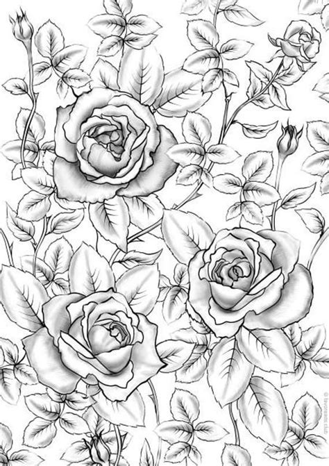 Printable Coloring Pages For Adults Rose