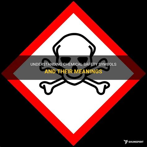 Understanding Chemical Safety Symbols And Their Meanings | ShunSpirit