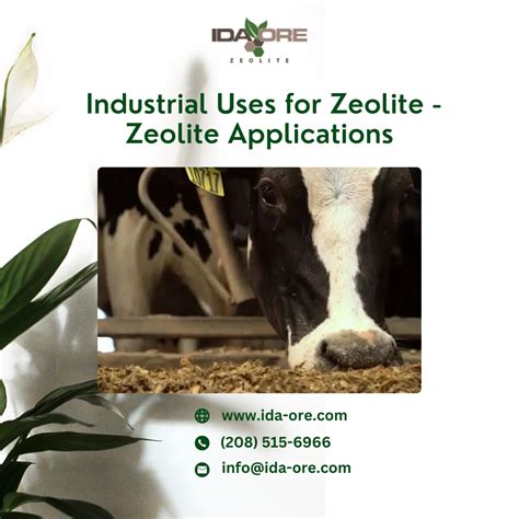 Industrial Uses for Zeolite — Zeolite Applications - IdaOre - Medium