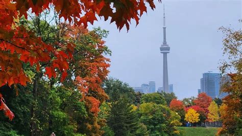 The best places to go in Toronto to see the leaves turn colours