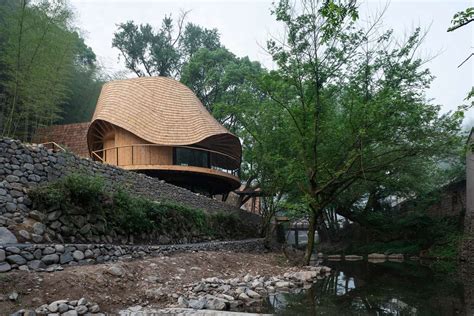 Tree House Surrounded by Magical Natural Spaces