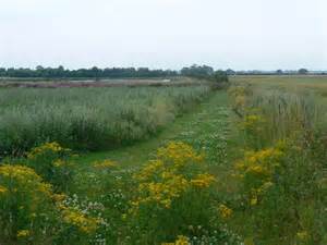 North Cave Wetlands Nature Reserve © bernard bradley :: Geograph Britain and Ireland