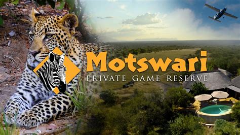 Motswari Private Game Reserve - An African dream - YouTube