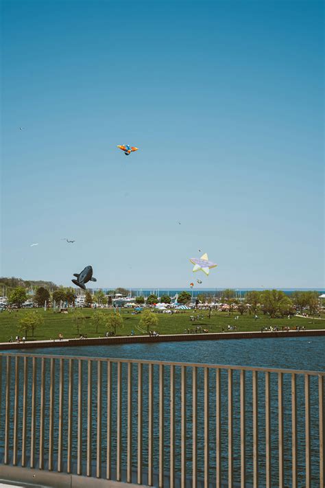 Kites Flying · Free Stock Photo