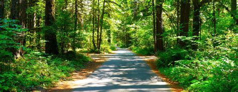 Paved Bike Trails Near Me - Paved Bike Trails Locations