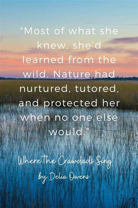 17 Striking Quotes From Where The Crawdads Sing (with Page Numbers) By Delia Owens