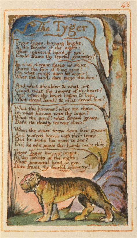 ‘The Tyger’ from William Blake’s Songs of Innocence and Experience ...