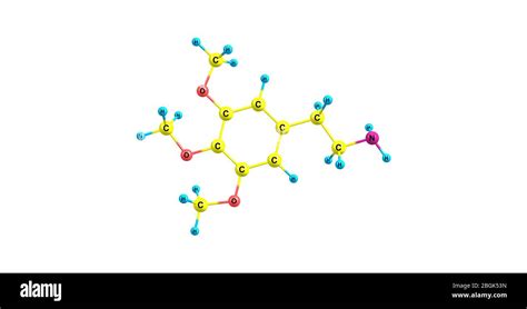 Mescaline is a naturally occurring psychedelic alkaloid of the phenethylamine class, known for ...