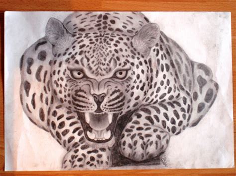 Jaguar Face Drawing