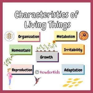 Characteristics and Classification of Living Organisms – HowForKids