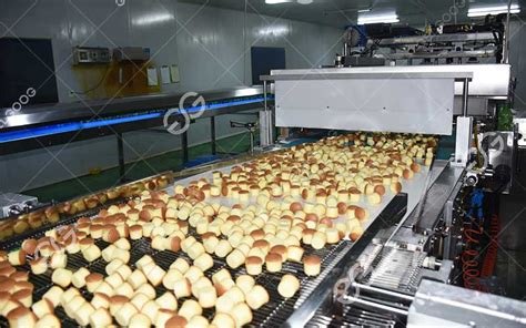 Maintenance and Repair of Bakery Equipment - Bakery Food Processing Equipment Manufacturer