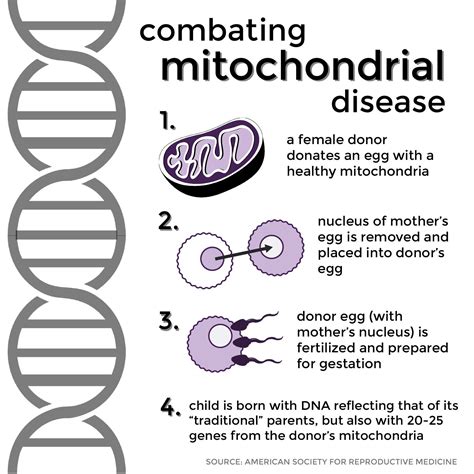 Mitochondrial Disease - emsekflol.com